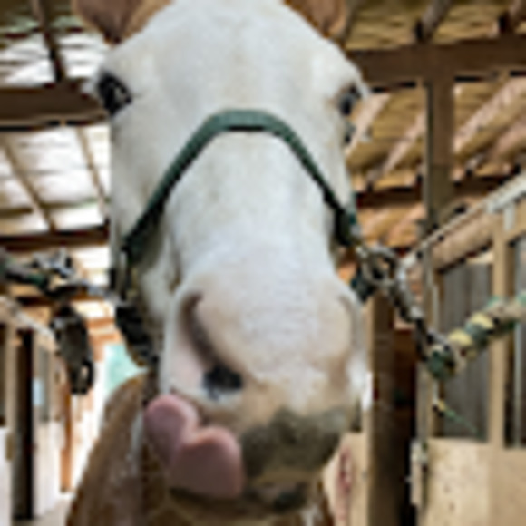 Meet your Posher, Brooklny - Picture 1 of 1